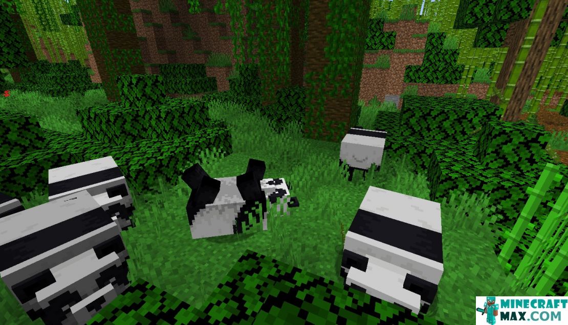 How to make Panda in Minecraft | Screenshot 3