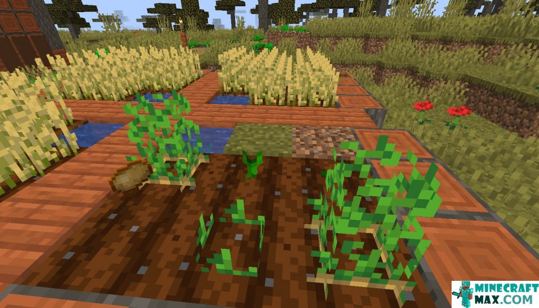 How to make Potatoes in the garden in Minecraft | Screenshot 1