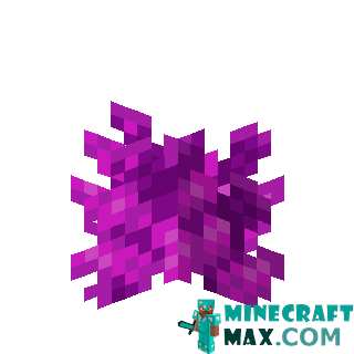 Bubble coral in Minecraft