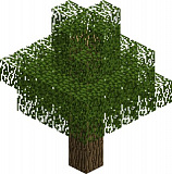 How to craft Oak (wood) in Minecraft