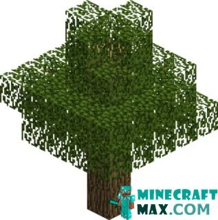 Oak (wood) in Minecraft