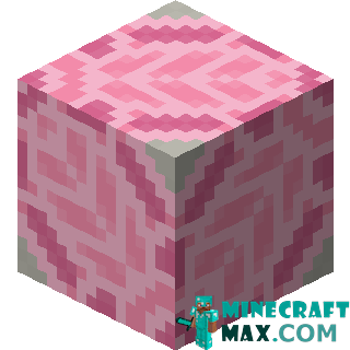 Pink Glazed Pottery in Minecraft