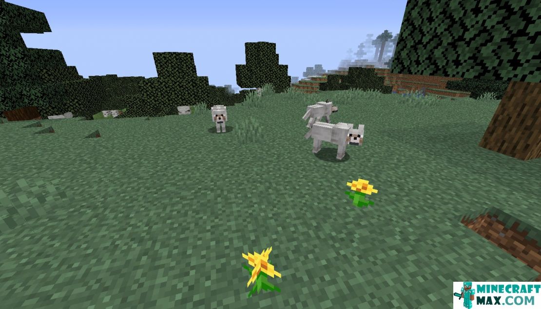 How to make Wild wolf in Minecraft | Screenshot 1