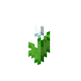 How to craft White tulip in Minecraft