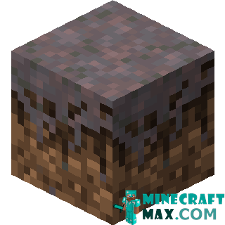 Mycelium in Minecraft