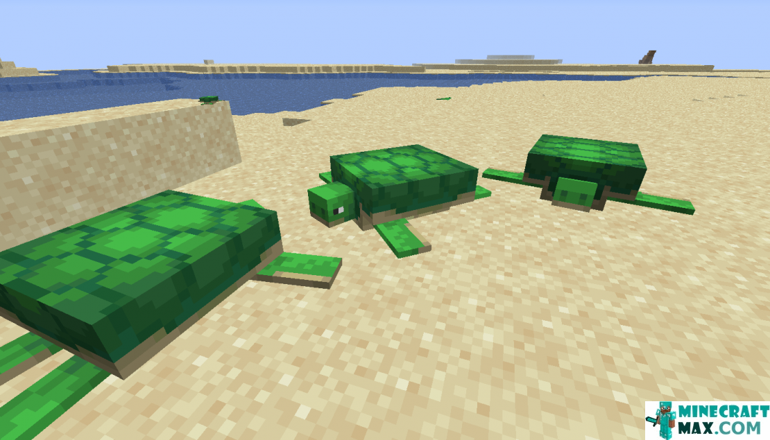 How to make Turtle in Minecraft | Screenshot 1