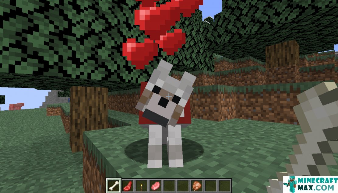 How to make Wild wolf in Minecraft | Screenshot 4