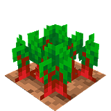 How to craft Beets in the garden in Minecraft