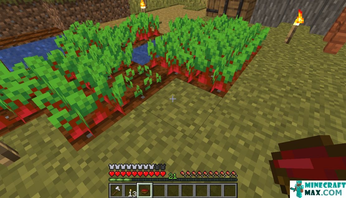 How to make Beets in the garden in Minecraft | Screenshot 1