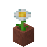 How to craft Chamomile in a pot in Minecraft