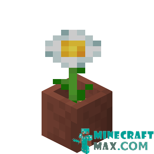 Chamomile in a pot in Minecraft