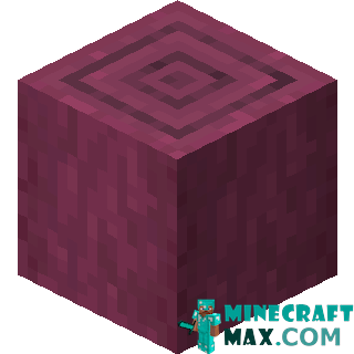 Peeled Crimson Stem in Minecraft