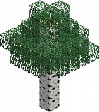 How to craft Birch (tree) in Minecraft
