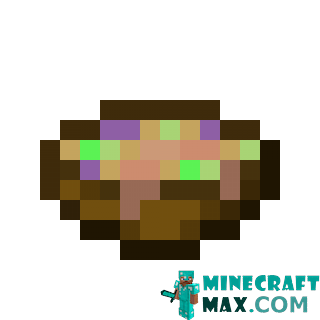 Mysterious stew (night vision) in Minecraft