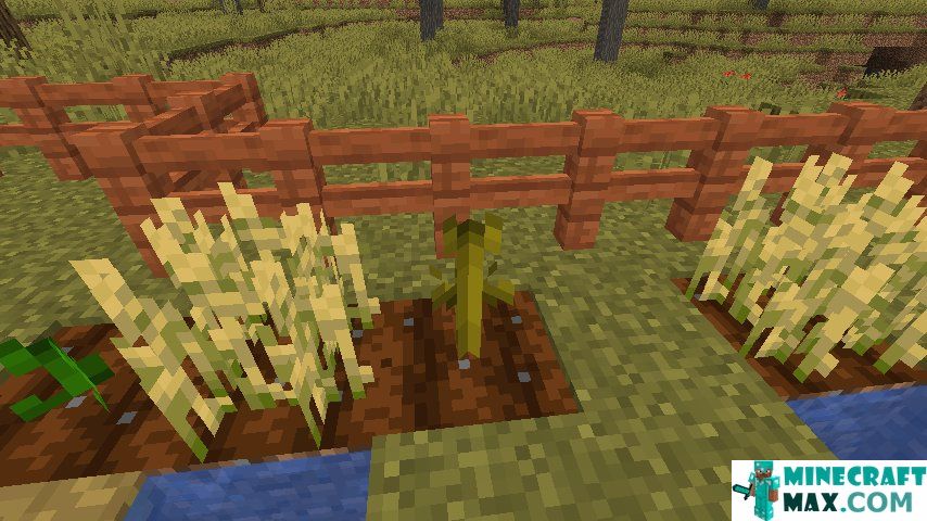 How to make Pumpkin stalk in Minecraft | Screenshot 1