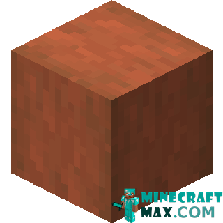 Stripped Acacia Wood in Minecraft