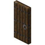 Spruce door in Minecraft