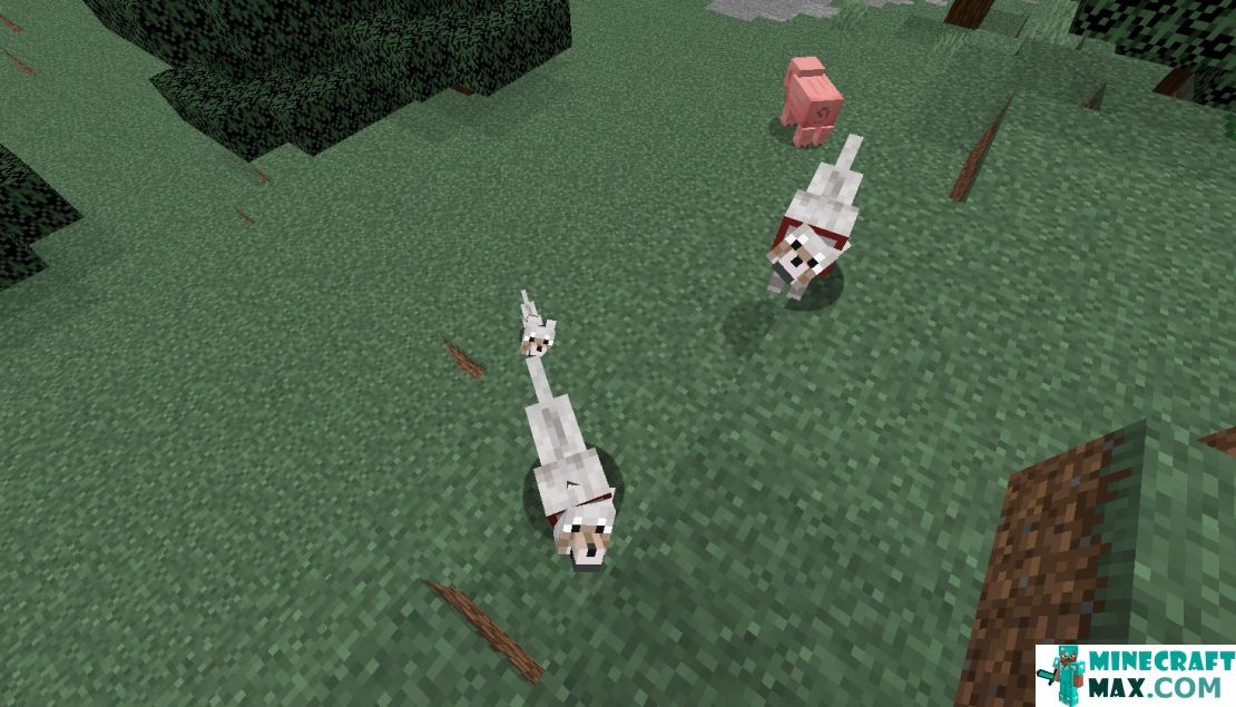 How to make Tamed wolf in Minecraft | Screenshot 3