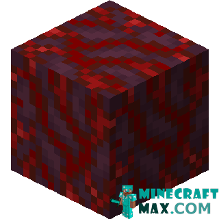 Crimson hyphae in Minecraft