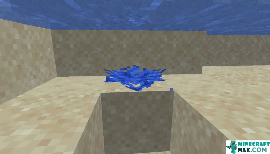 How to make Fan-shaped tubular coral in Minecraft | Screenshot 1