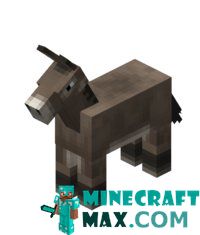 Donkey in Minecraft