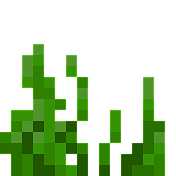 How to craft Sea grass in Minecraft