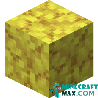 Horn coral block in Minecraft