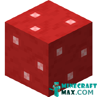Red mushroom block in Minecraft