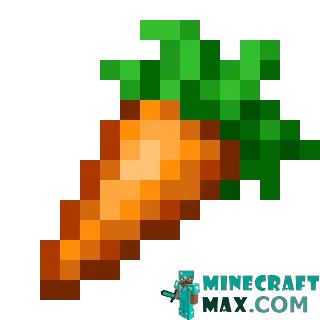 Carrot in Minecraft