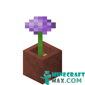 Potted onion in Minecraft