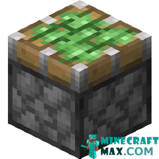 Sticky piston in Minecraft