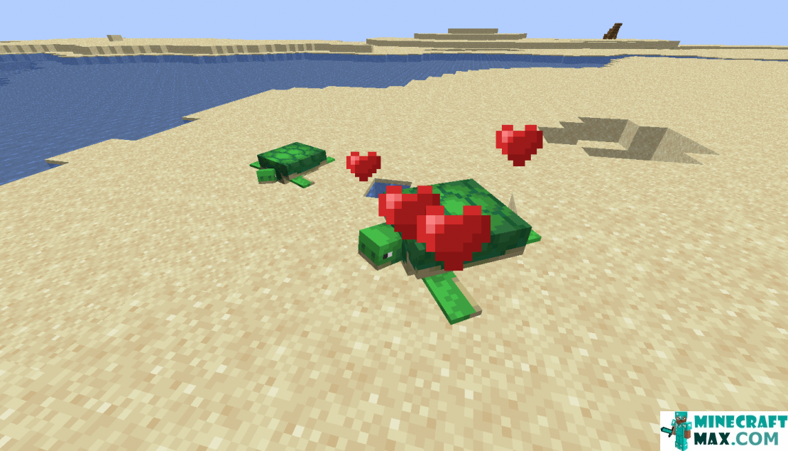 How to make Turtle in Minecraft | Screenshot 3