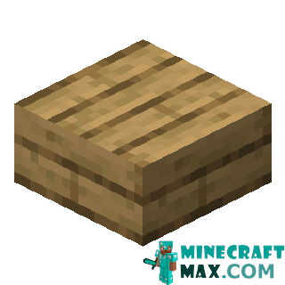 Petrified Oak Slab in Minecraft