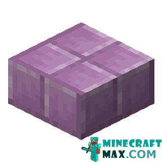 Purple plate in Minecraft