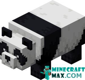 Panda in Minecraft