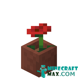 Poppy in a pot in Minecraft