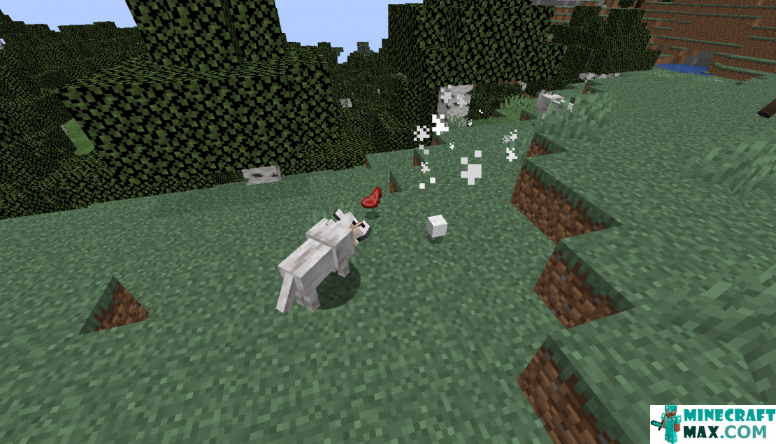 How to make Wild wolf in Minecraft | Screenshot 3