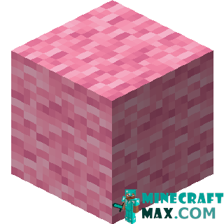 Pink wool in Minecraft