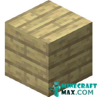 Birch boards in Minecraft