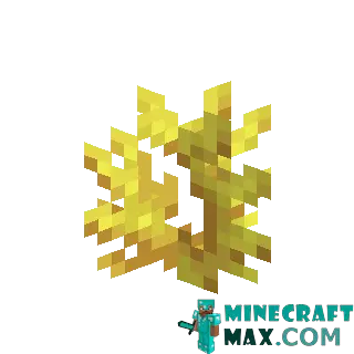 Horn coral in Minecraft