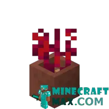 Crimson roots in a pot in Minecraft