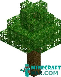 Tropical tree (tree) in Minecraft
