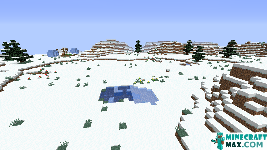 How to make Snow covered tundra in Minecraft | Screenshot 1