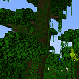 How to craft Jungle in Minecraft