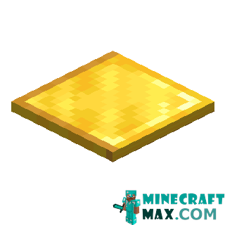 Weight plate in Minecraft