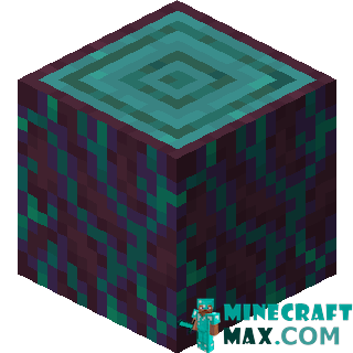 Distorted stem in Minecraft