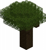 How to craft Dark oak (wood) in Minecraft