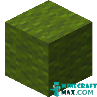 Green wool in Minecraft