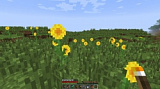 How to craft Sunflower fields in Minecraft