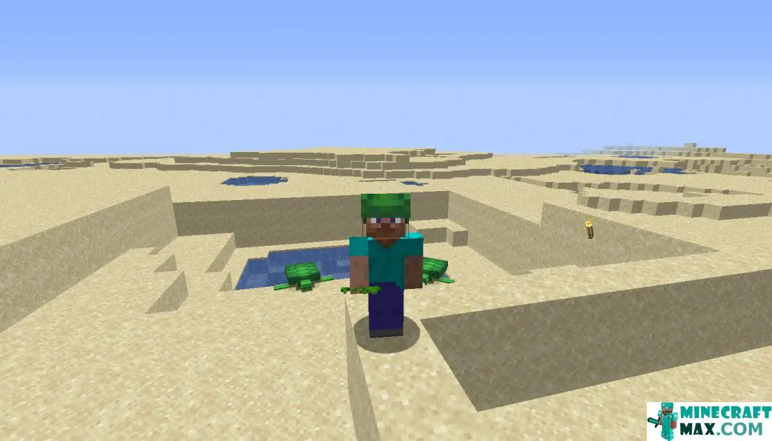 How to make Turtle shell in Minecraft | Screenshot 1